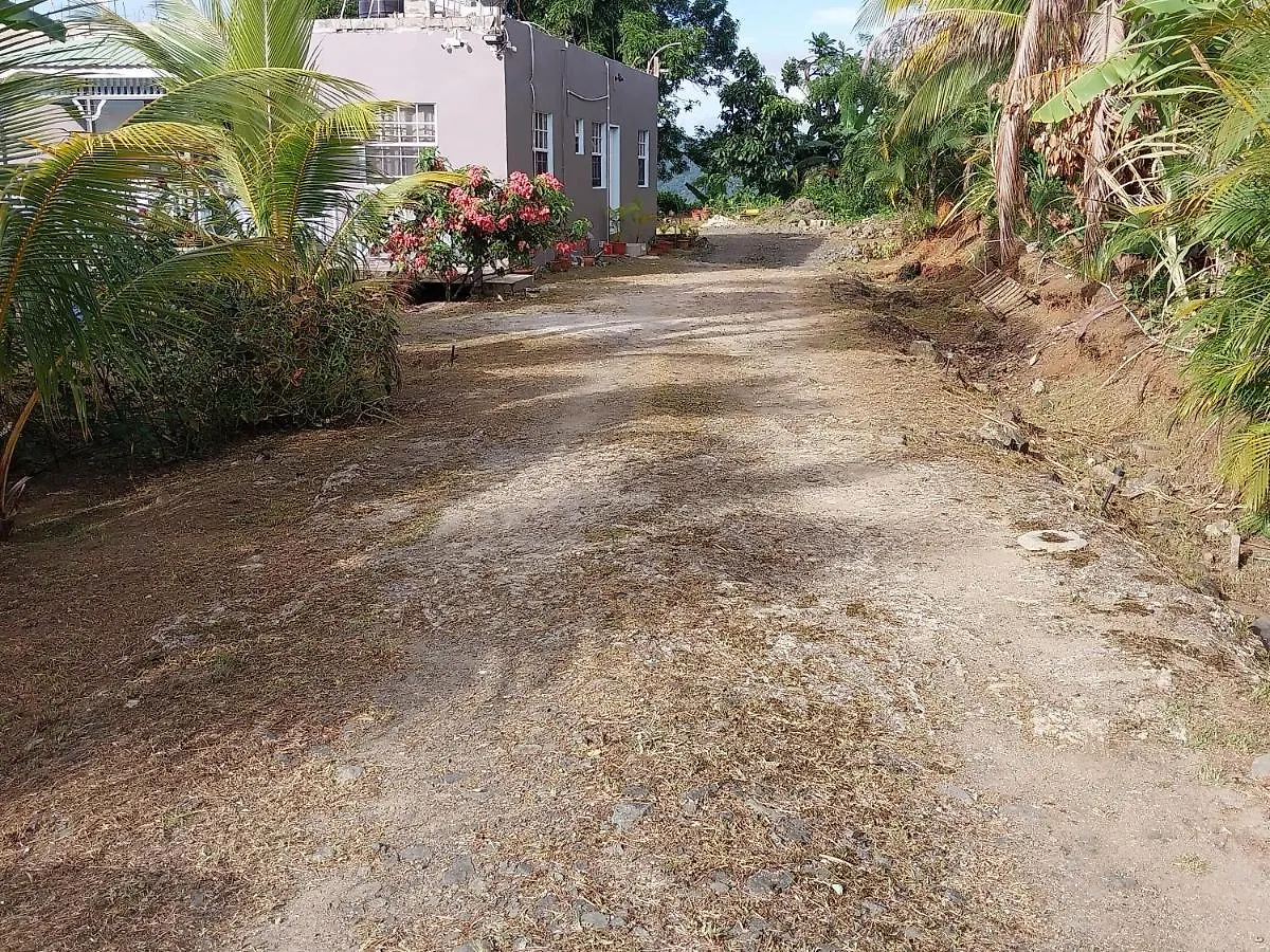 Avocado Suites Castries Apartament